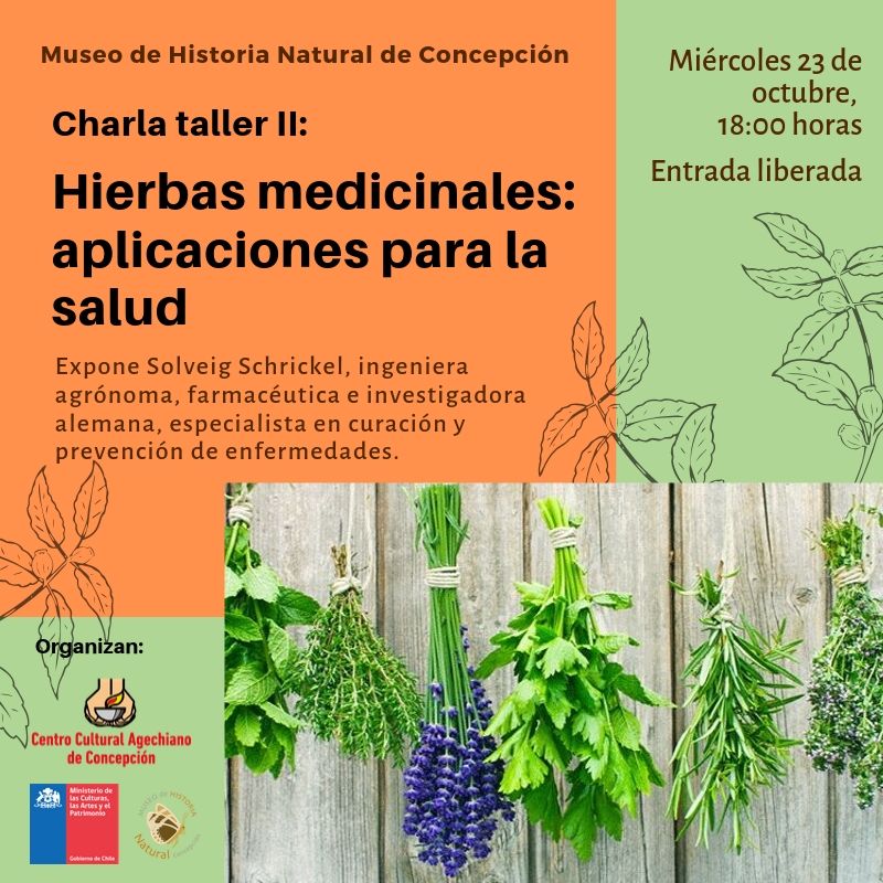 Charla Taller Hierbas Medicinales Aplicaciones Para La Salud Centenario Udec 3318